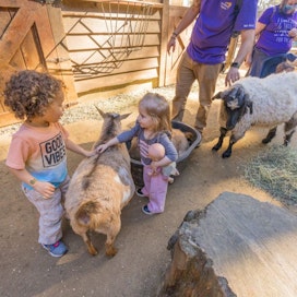 Sequoia Park Zoo & Redwood Sky Walk