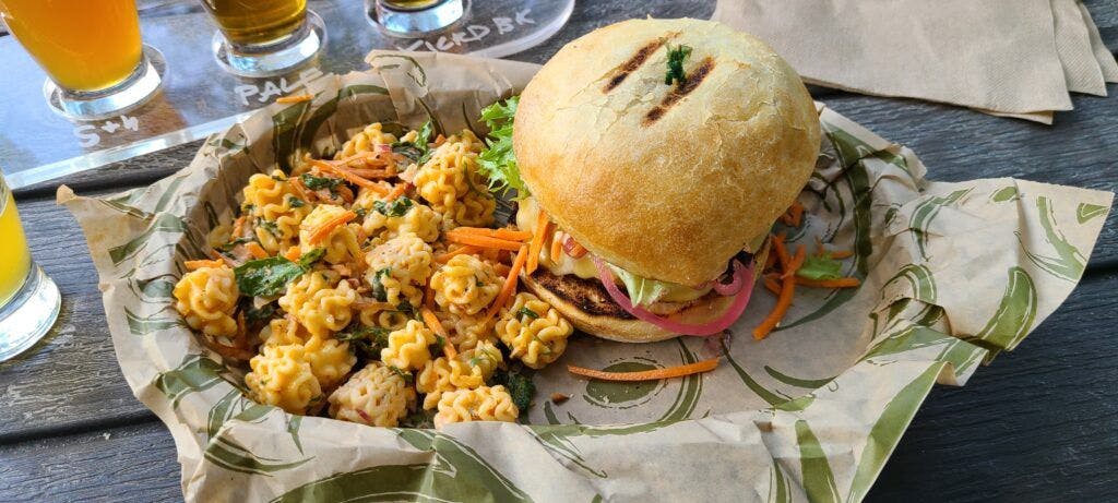 bonsai-brewing-project-003