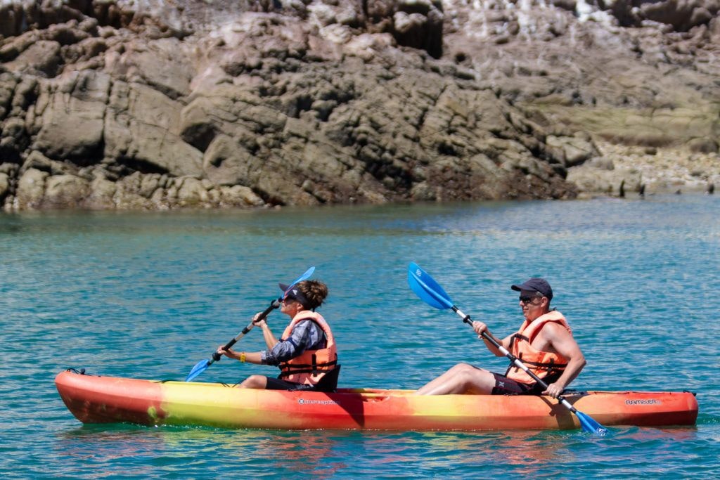 bird-island-isla-san-jorge-016