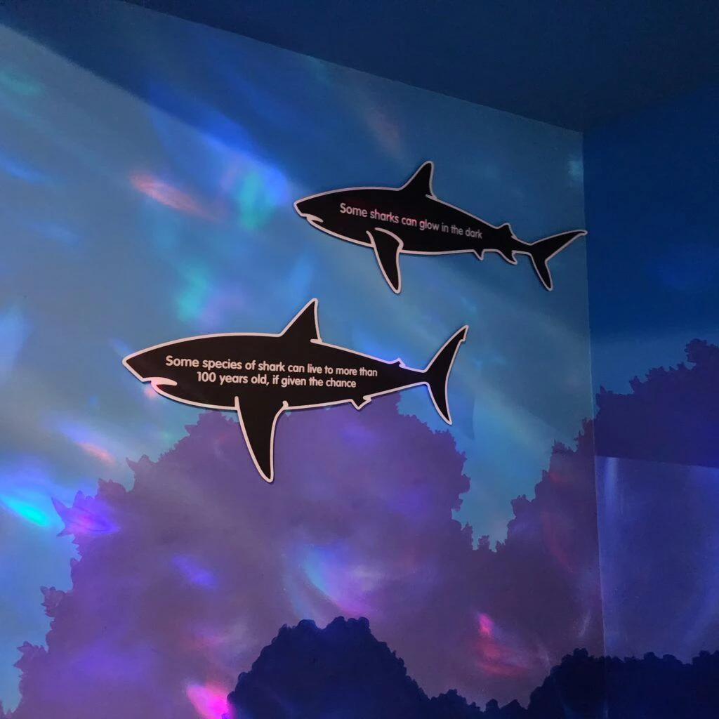 sea-life-aquarium-008