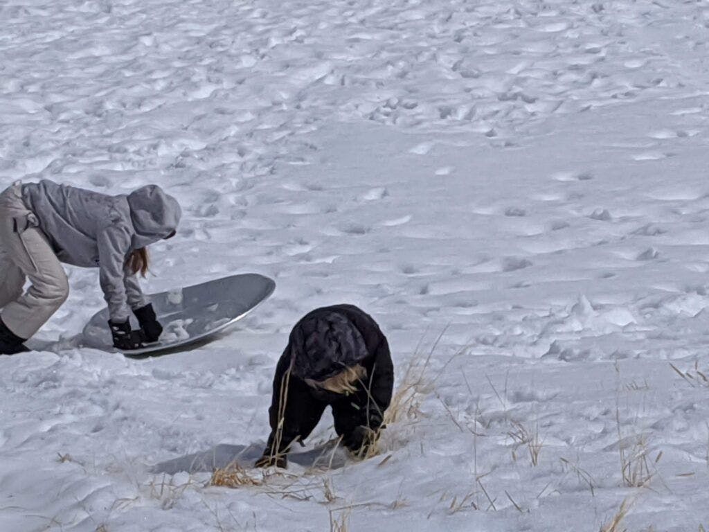 maryland-creek-park-003