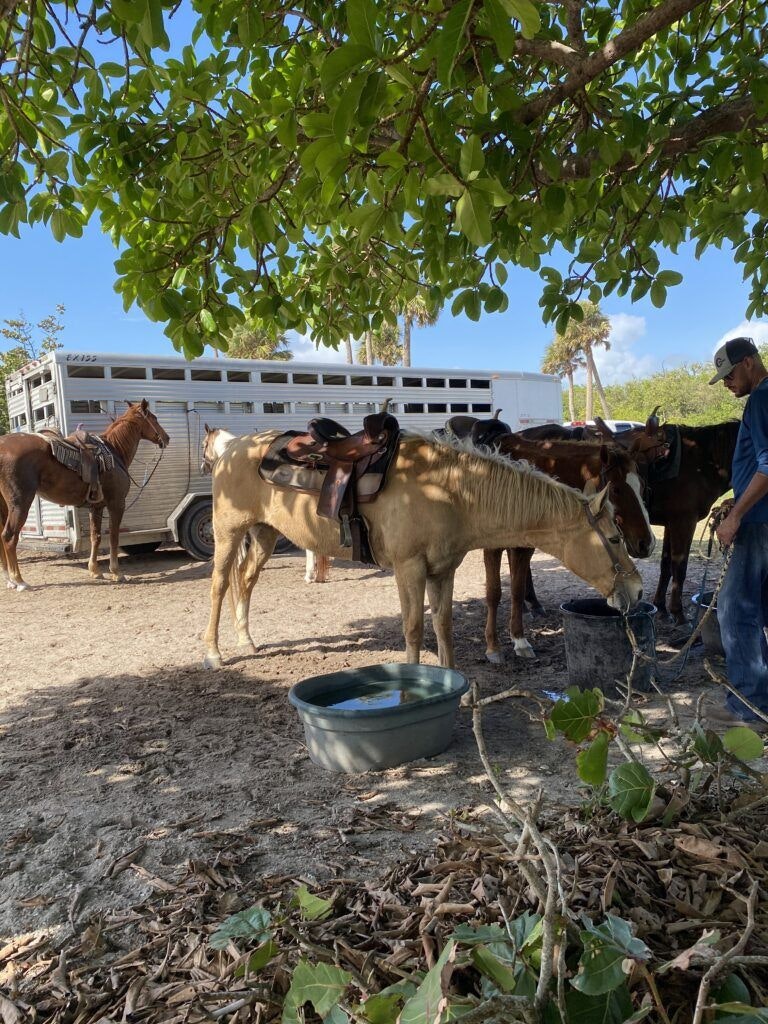 tours-on-horseback-003