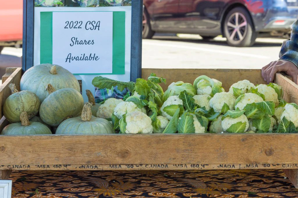 arcata-plaza-farmer-s-market-012
