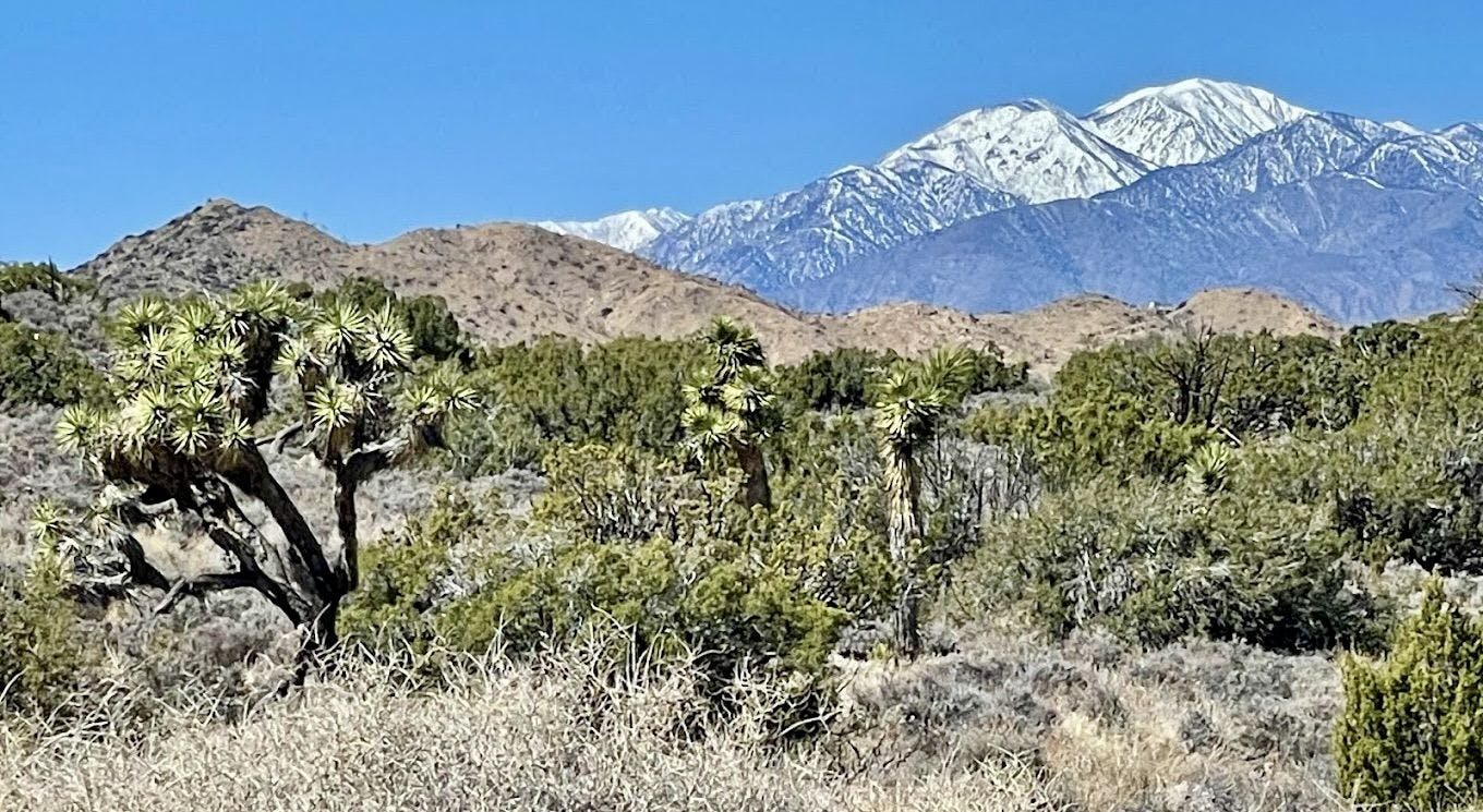 Black Rock Canyon Trailhead 