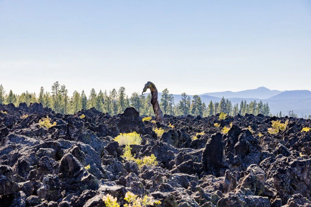 lava-butte-and-lands-visitor-center-028