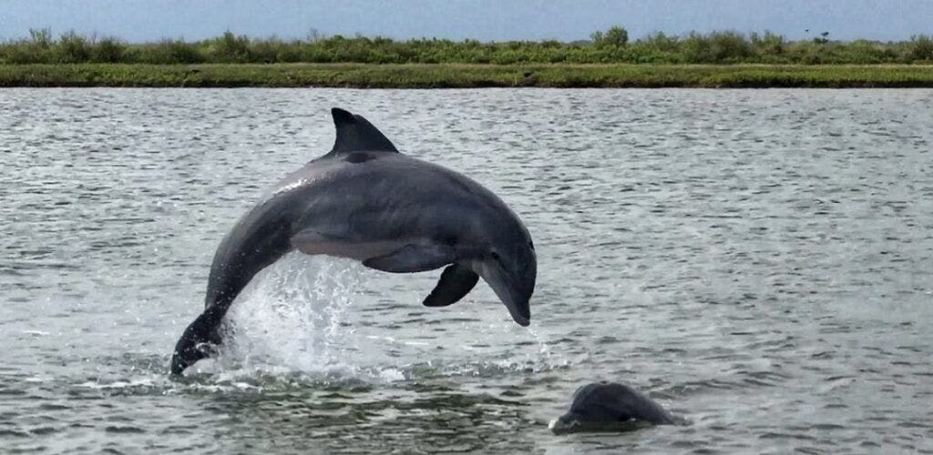 east-end-lagoon-nature-preserve-004