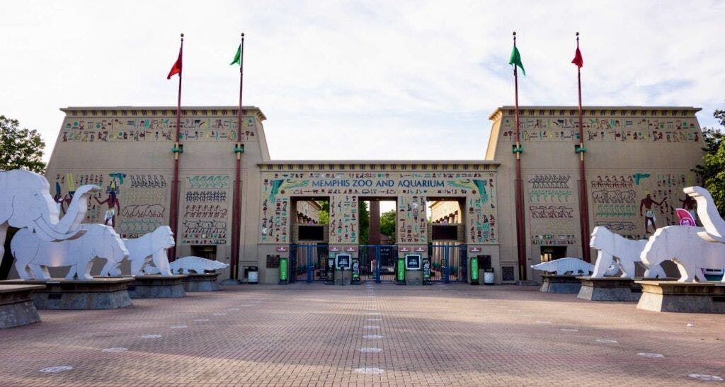 memphis-zoo-001