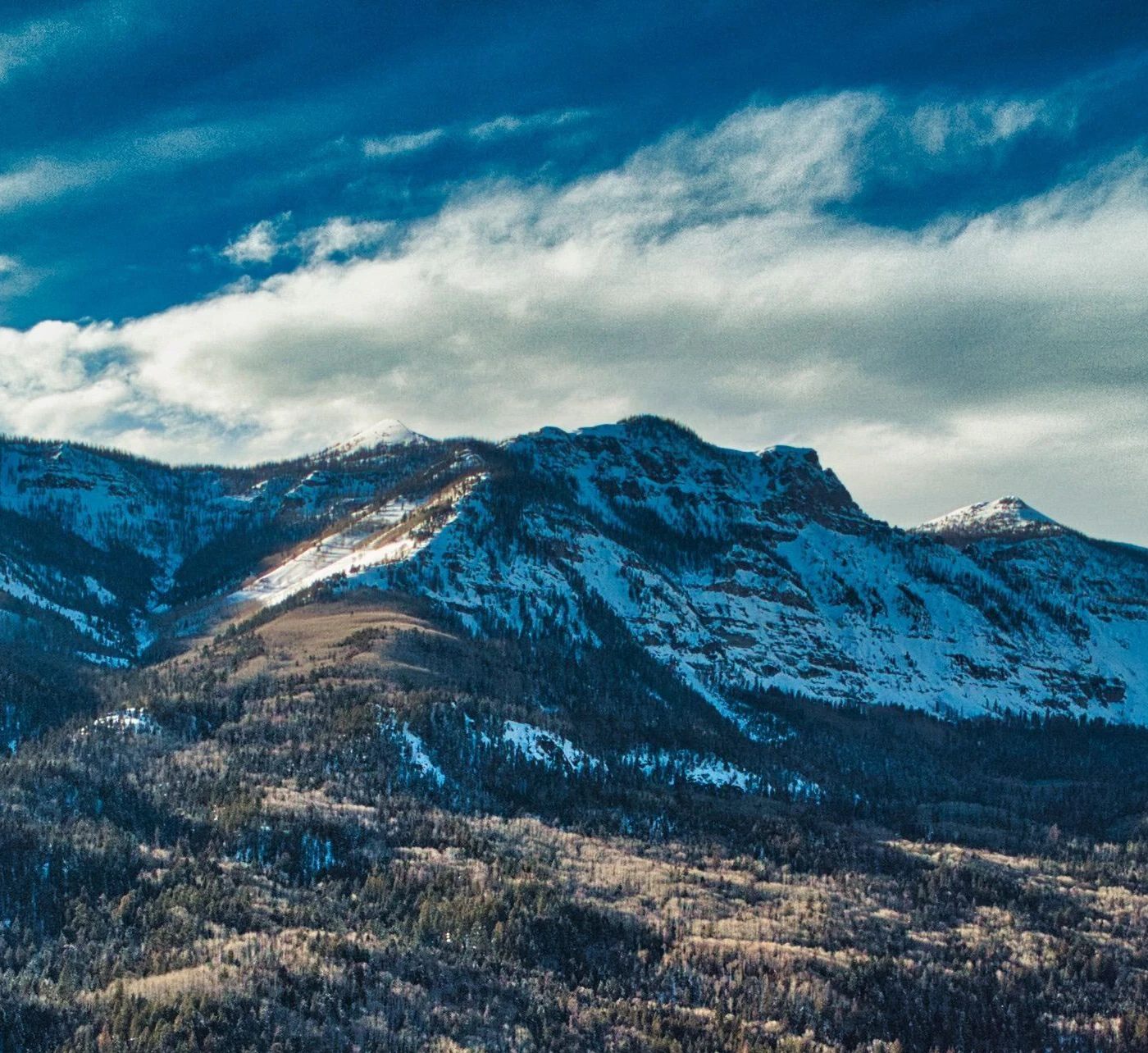 AdobeStock_612629981.jpeg