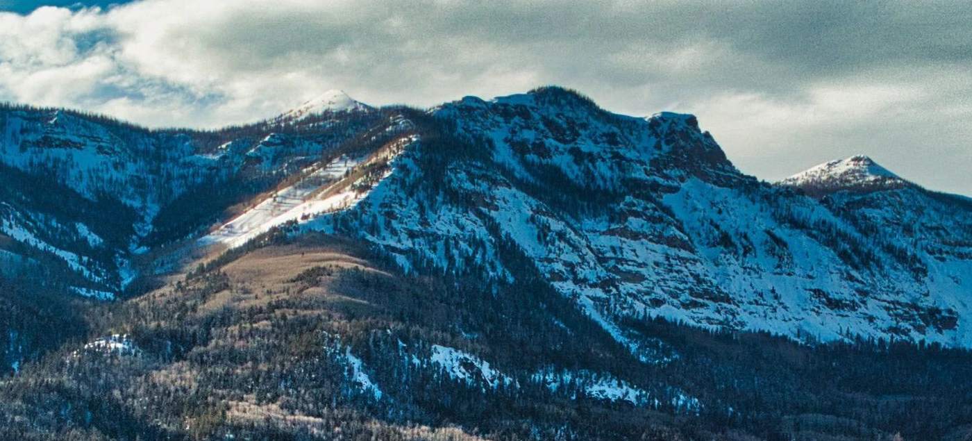 AdobeStock_612629981.jpeg