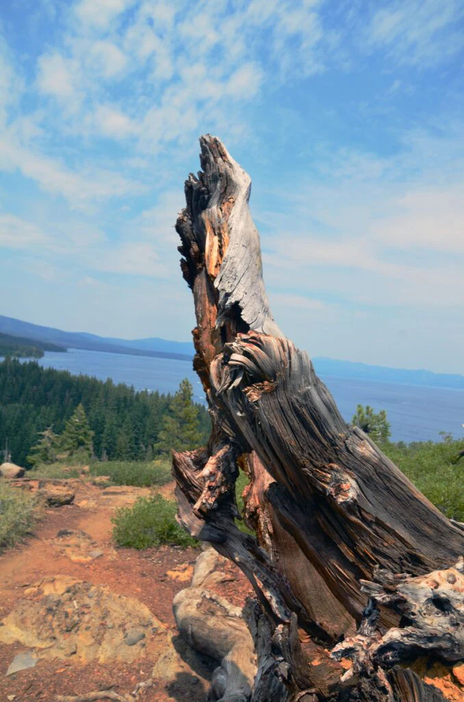 eagle-rock-trailhead-004