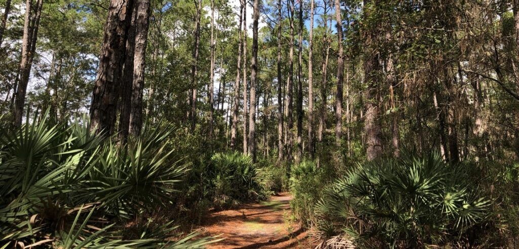 kathryn-abbey-hanna-park-004