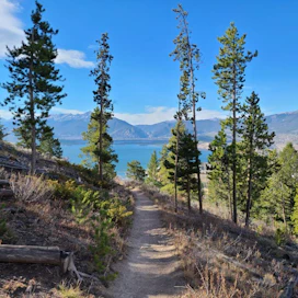 Tenderfoot Mountain Trailhead