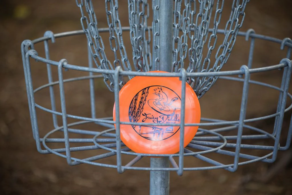 fairy-diddle-disc-golf-009