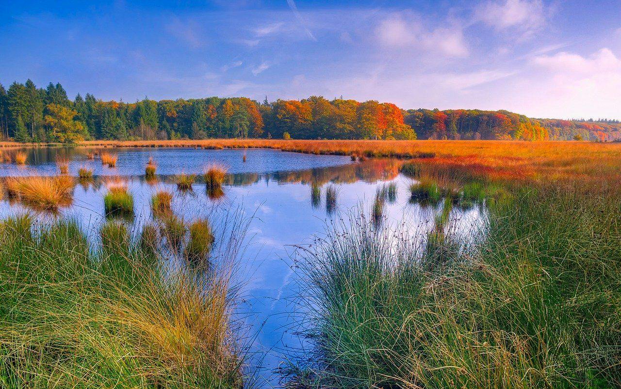15 Spectacular Fall Leaf-Peeping Trips with Casago