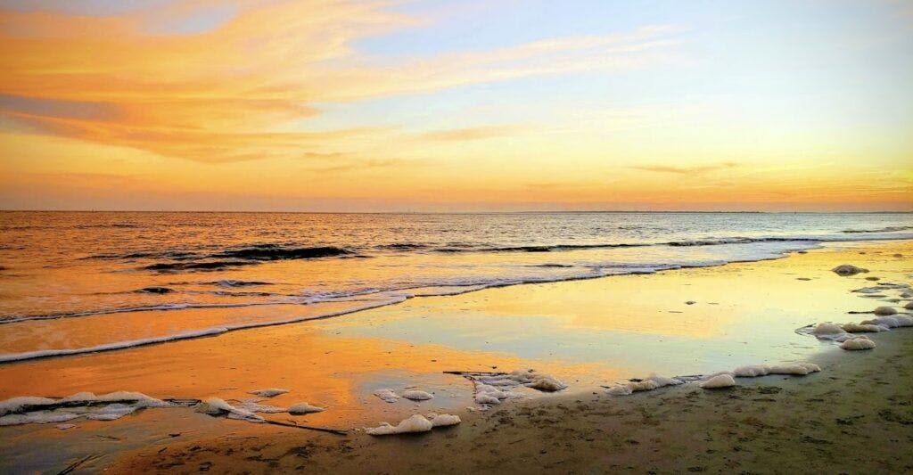 sullivan-s-island-003