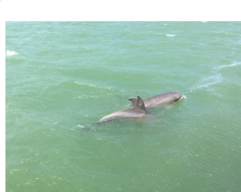 breakaway-cruises-004