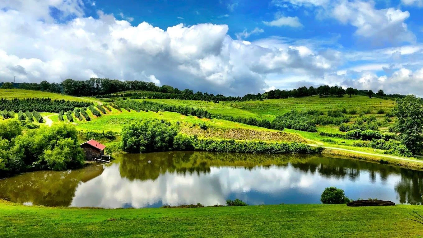 Mercier Orchards 2.jpeg