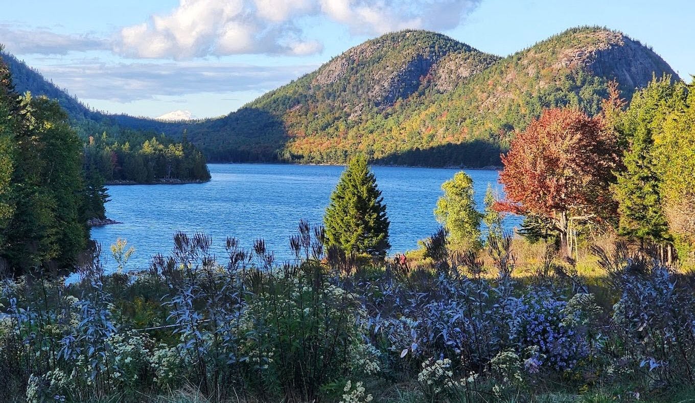 Jordan Pond 3.jpeg
