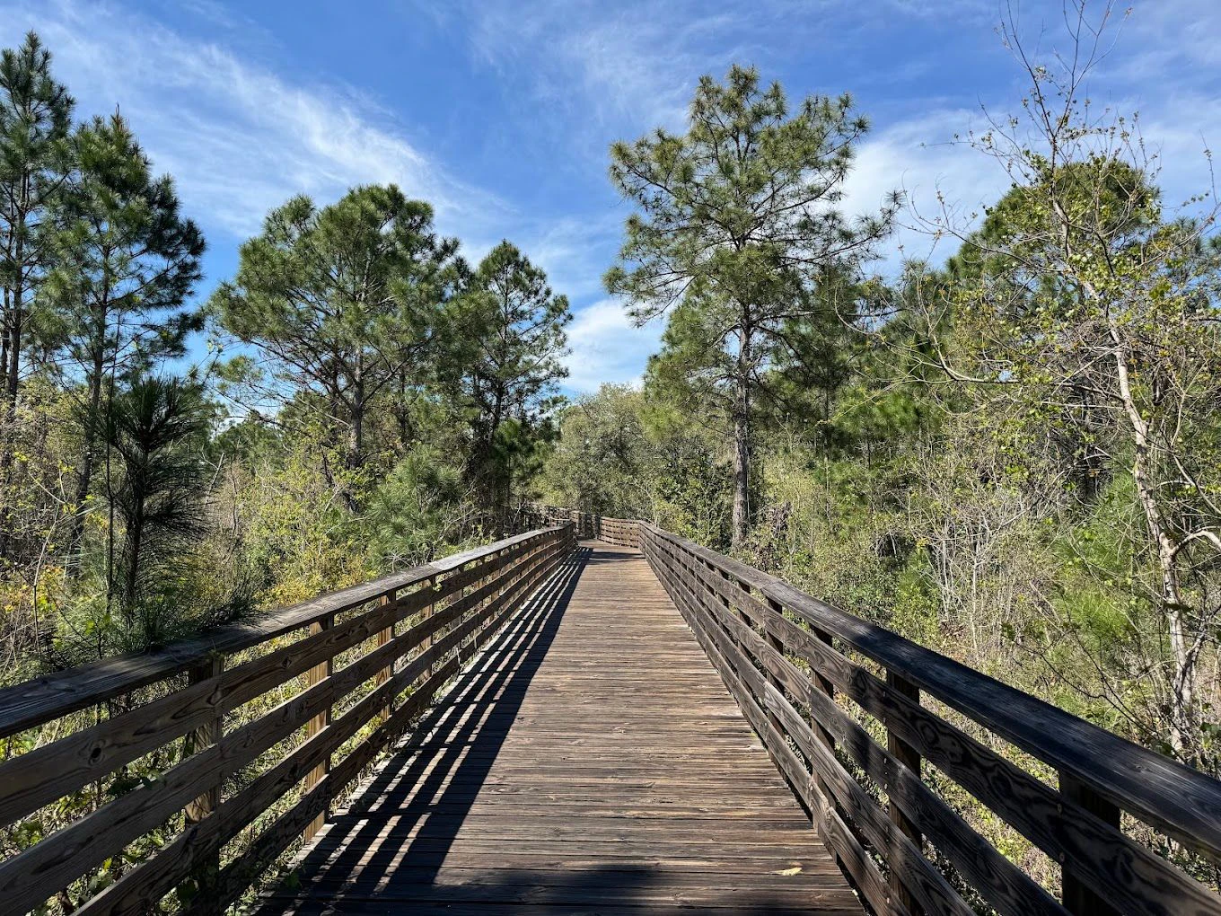 Hugh Trail 5.jpeg