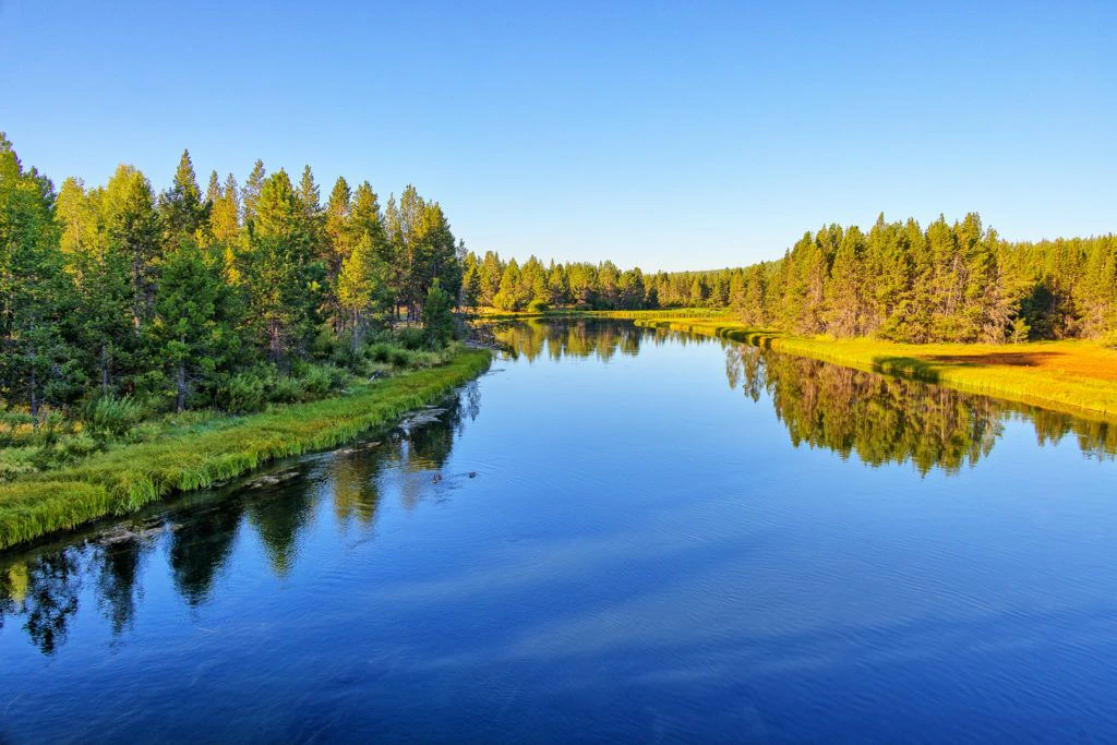 cardinal-landing-bridge-002