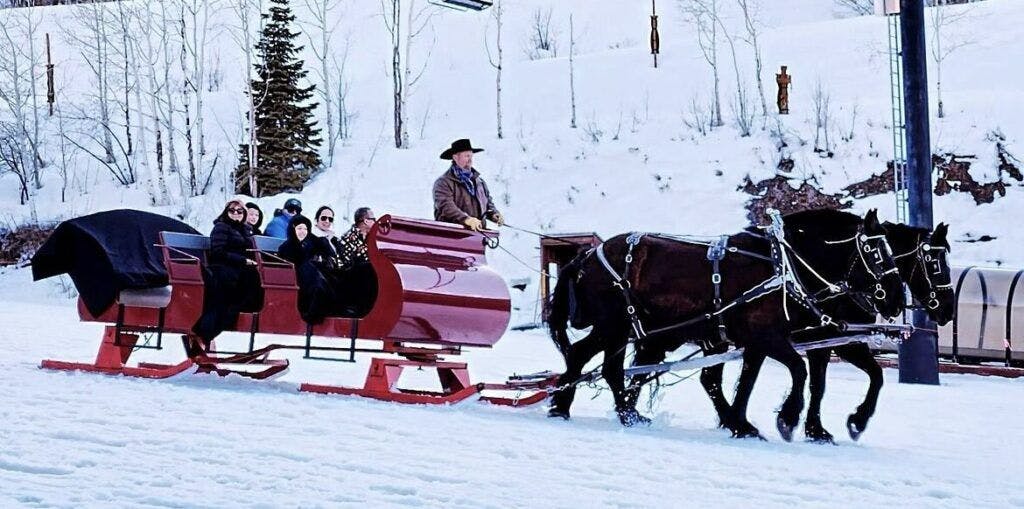 Snowed Inn Sleigh Company