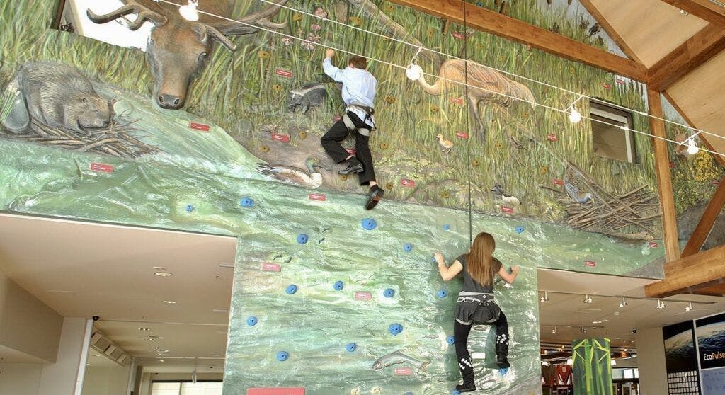 swaner-preserve-and-ecocenter-002