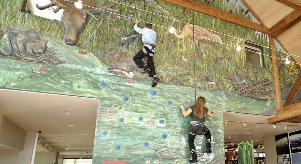 swaner-preserve-and-ecocenter-002