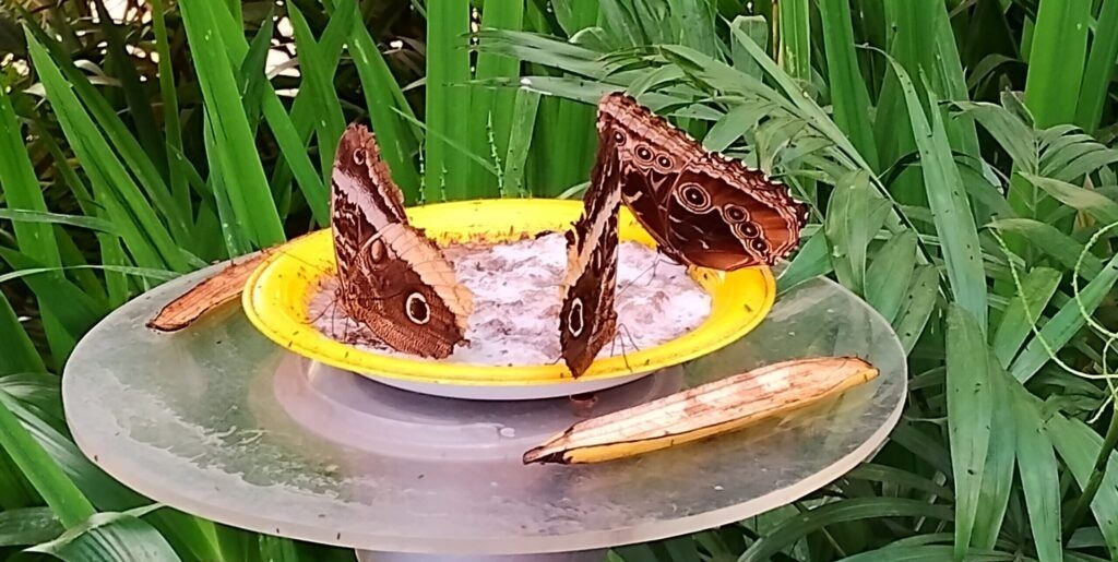 national-museum-of-costa-rica-003