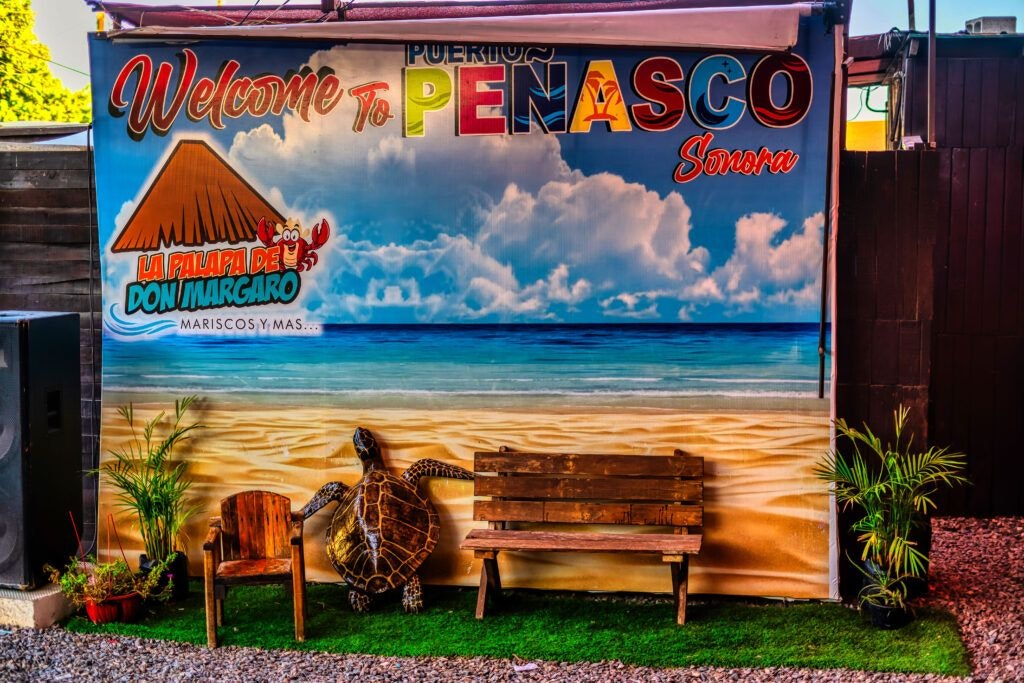 la-palapa-de-don-margaro-005