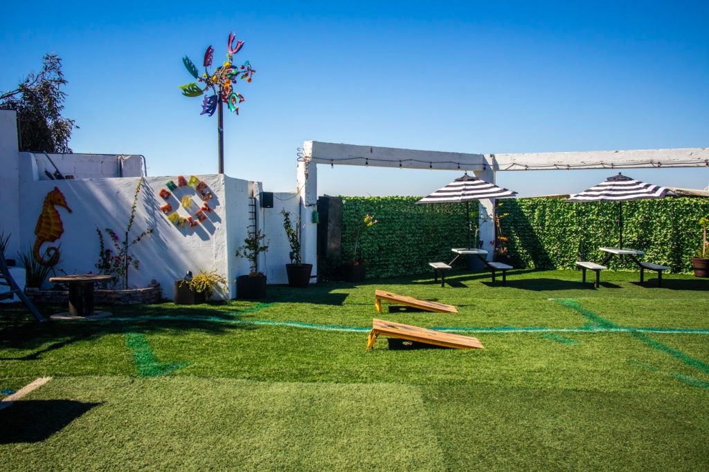 grapes-and-barley-011