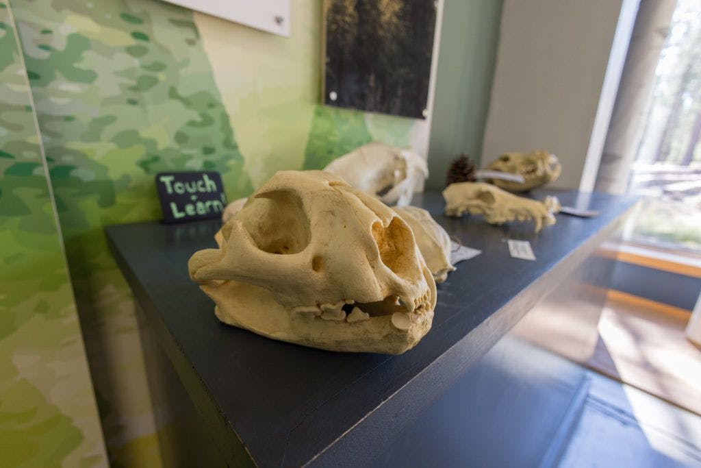 sunriver-nature-center-and-oregon-observatory-009