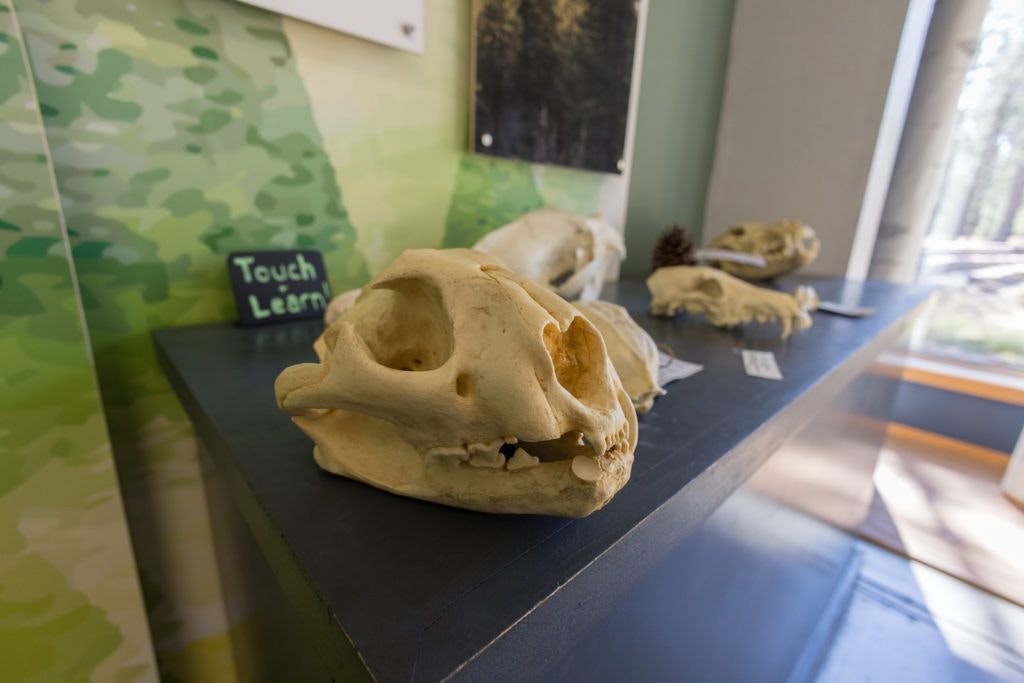 sunriver-nature-center-and-oregon-observatory-009