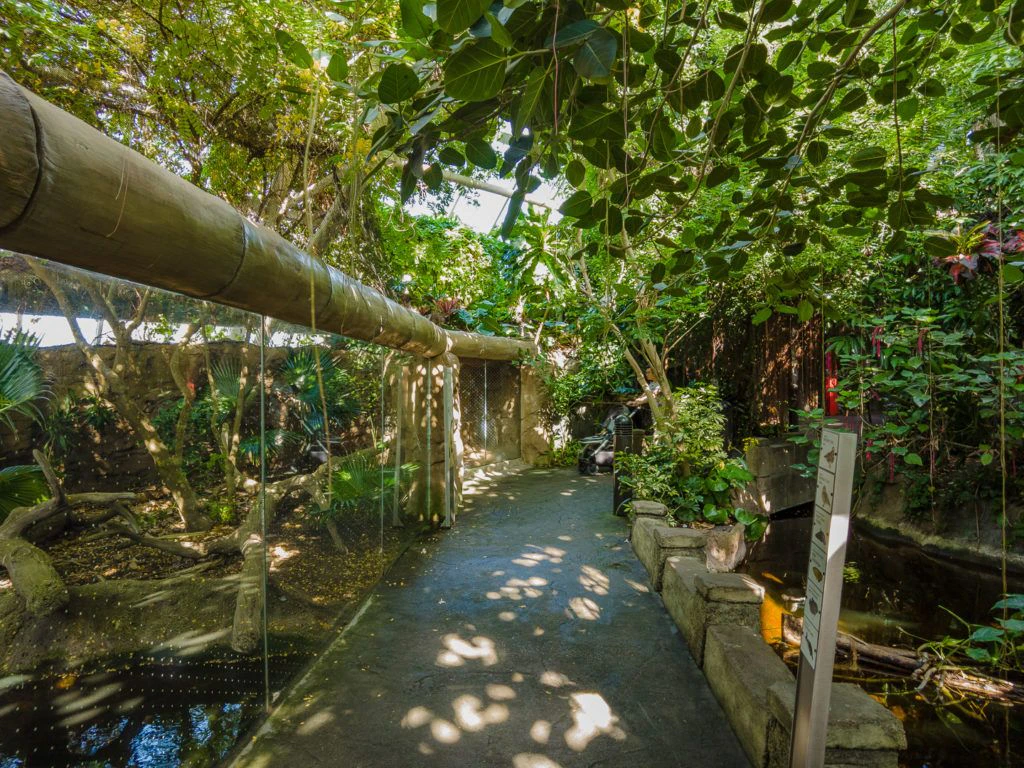 moody-gardens-pyramids-003