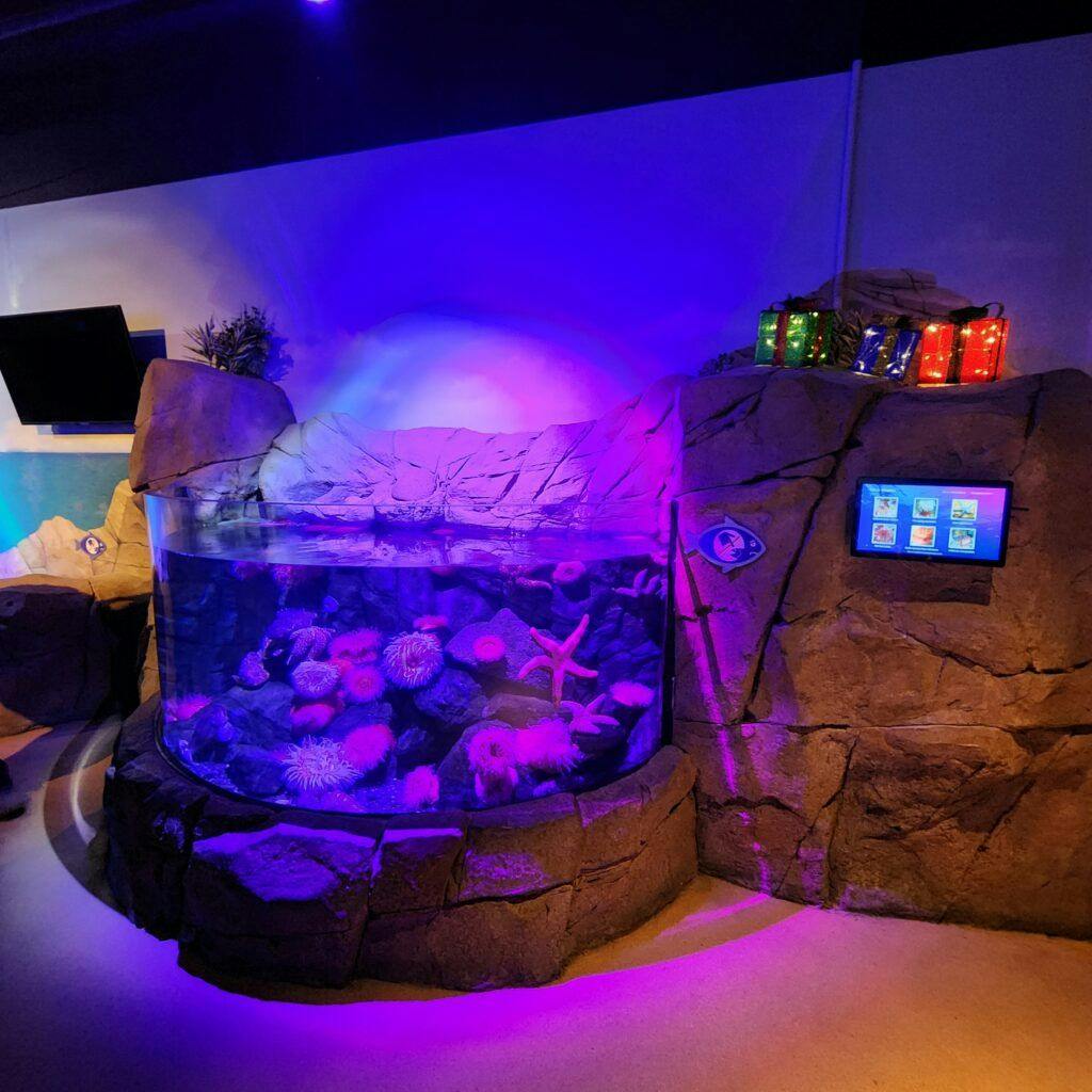 sea-life-aquarium-002