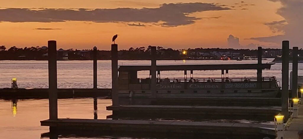 orange-beach-cat-boat-tours-004