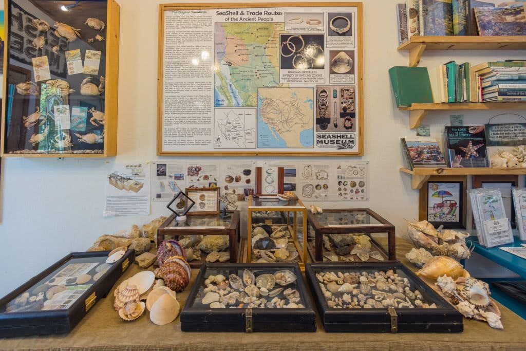 the-seashell-museum-and-sea-debris-shop-006