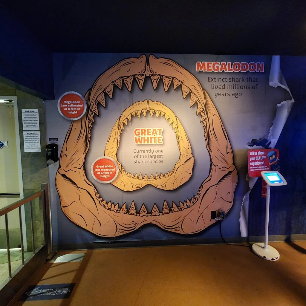 sea-life-aquarium-016