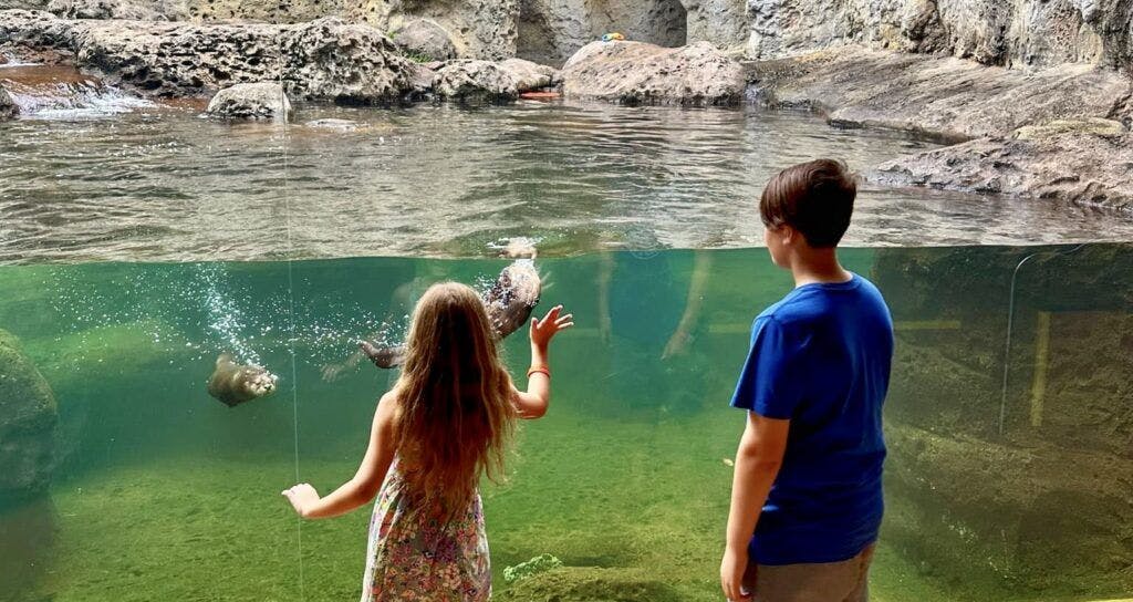 museum-of-discovery-and-science-004