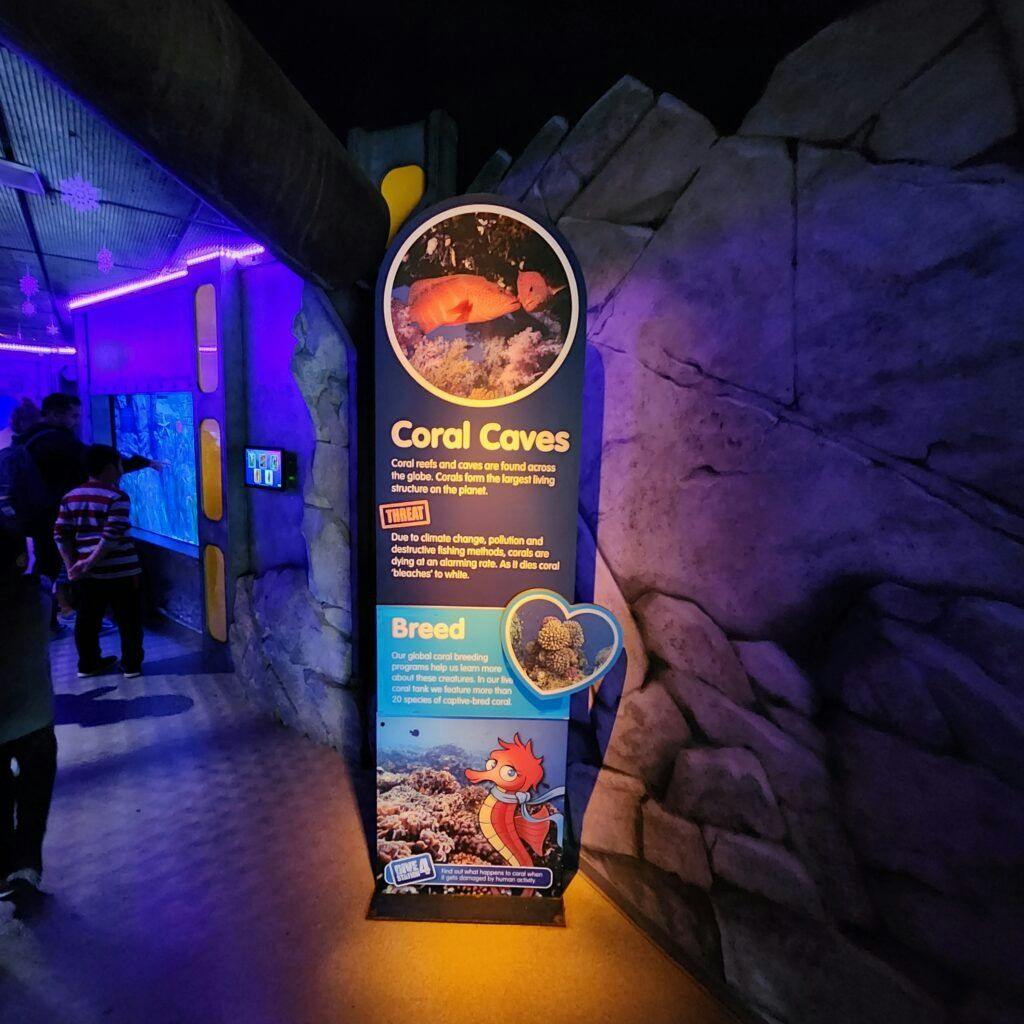 sea-life-aquarium-004