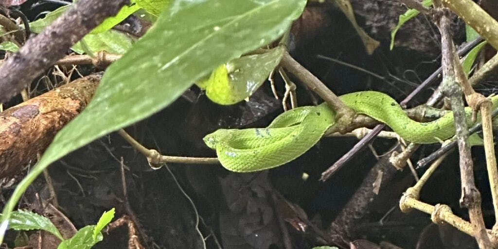 curi-cancha-reserve-004