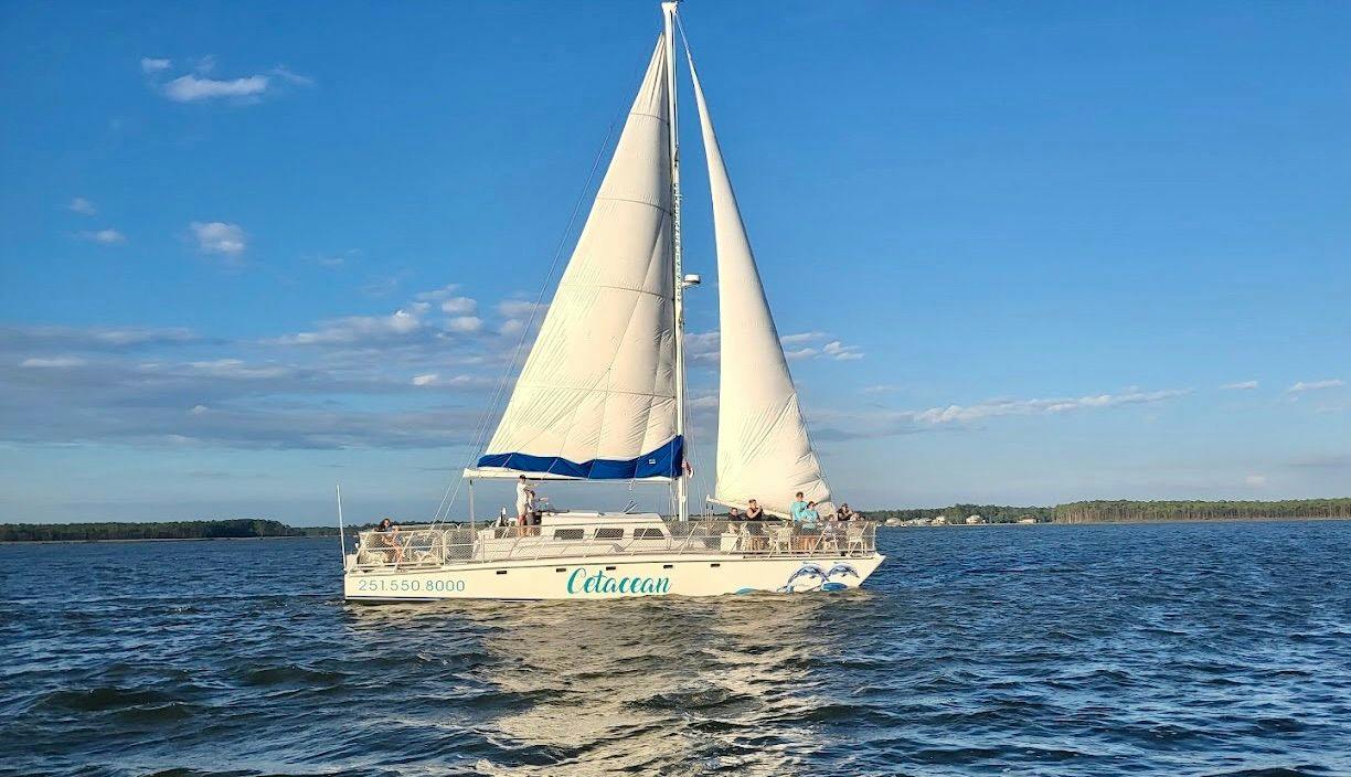 Cetacean Cruises