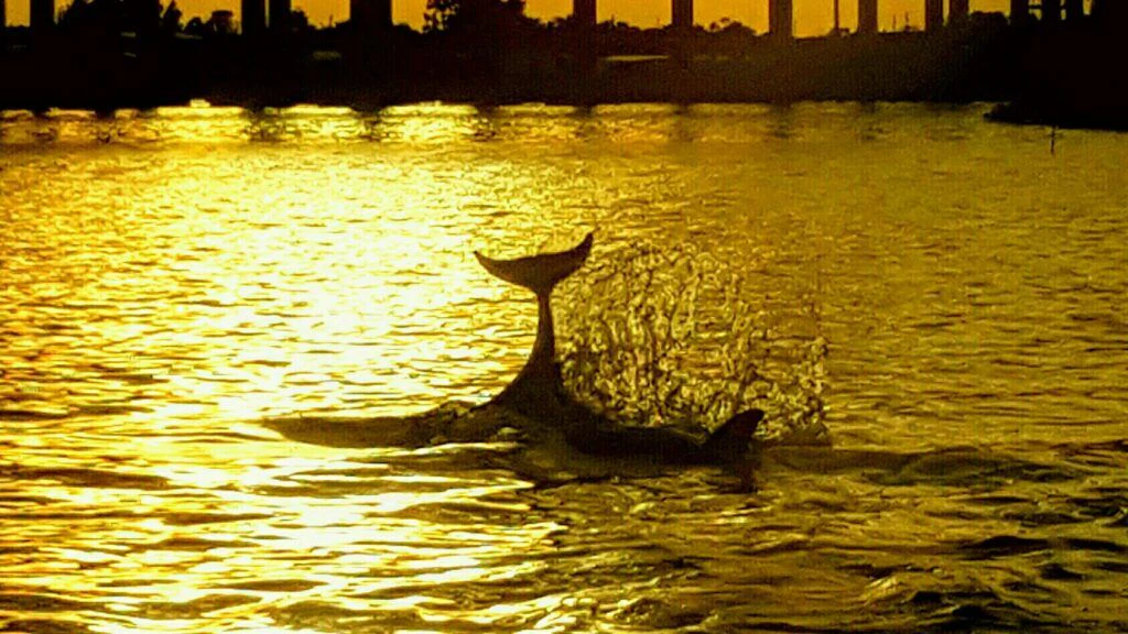 treasure-coast-cruises-003