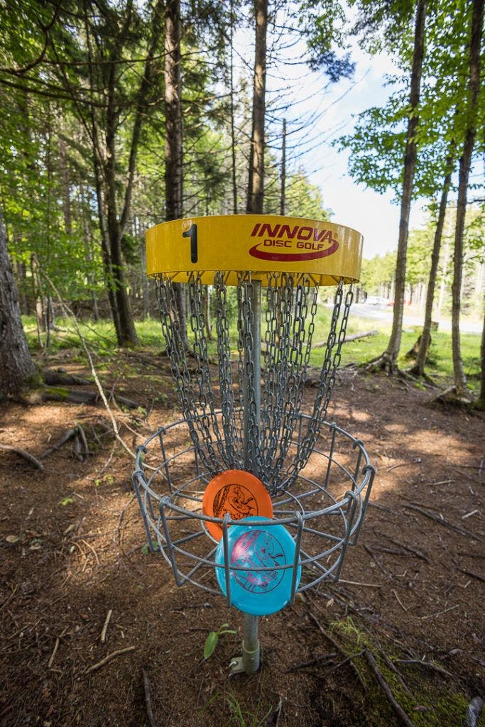 Fairy Diddle Disc Golf