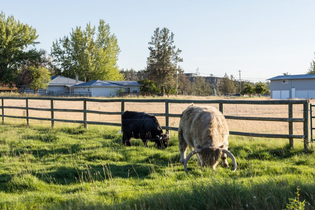 smith-rock-state-park-052