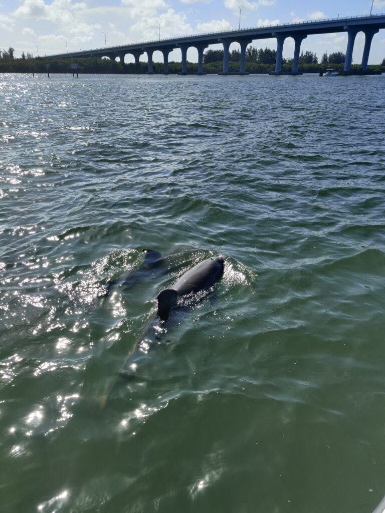 treasure-coast-cruises-002