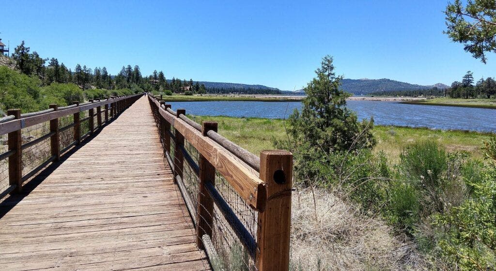 stanfield-marsh-wildlife-and-waterfowl-preserve-001