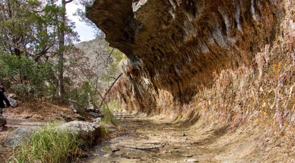 lost-maples-east-trail-002