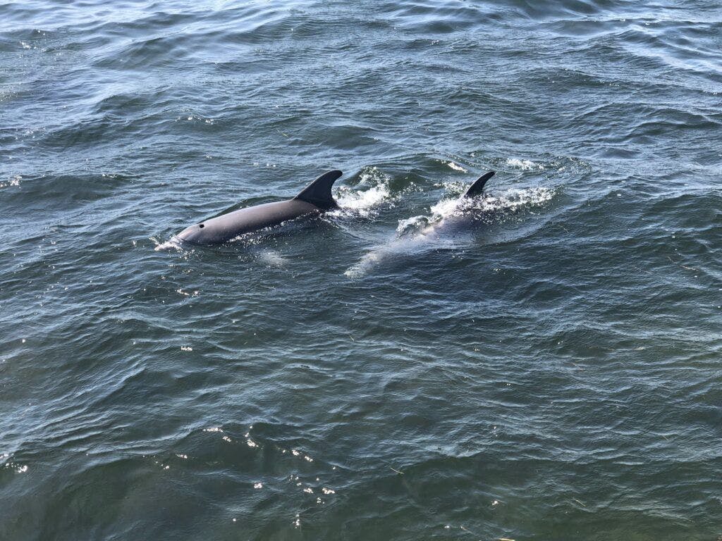 ka-motion-sailing-adventure-004