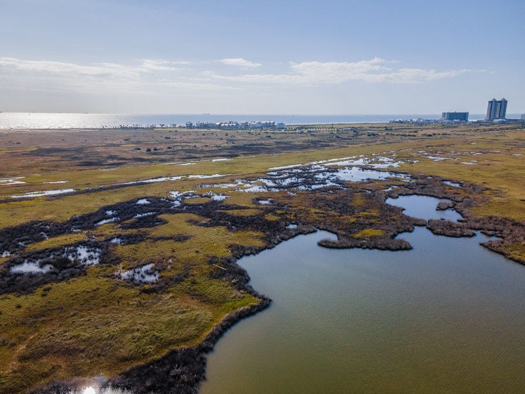 east-end-lagoon-nature-preserve-galveston-007