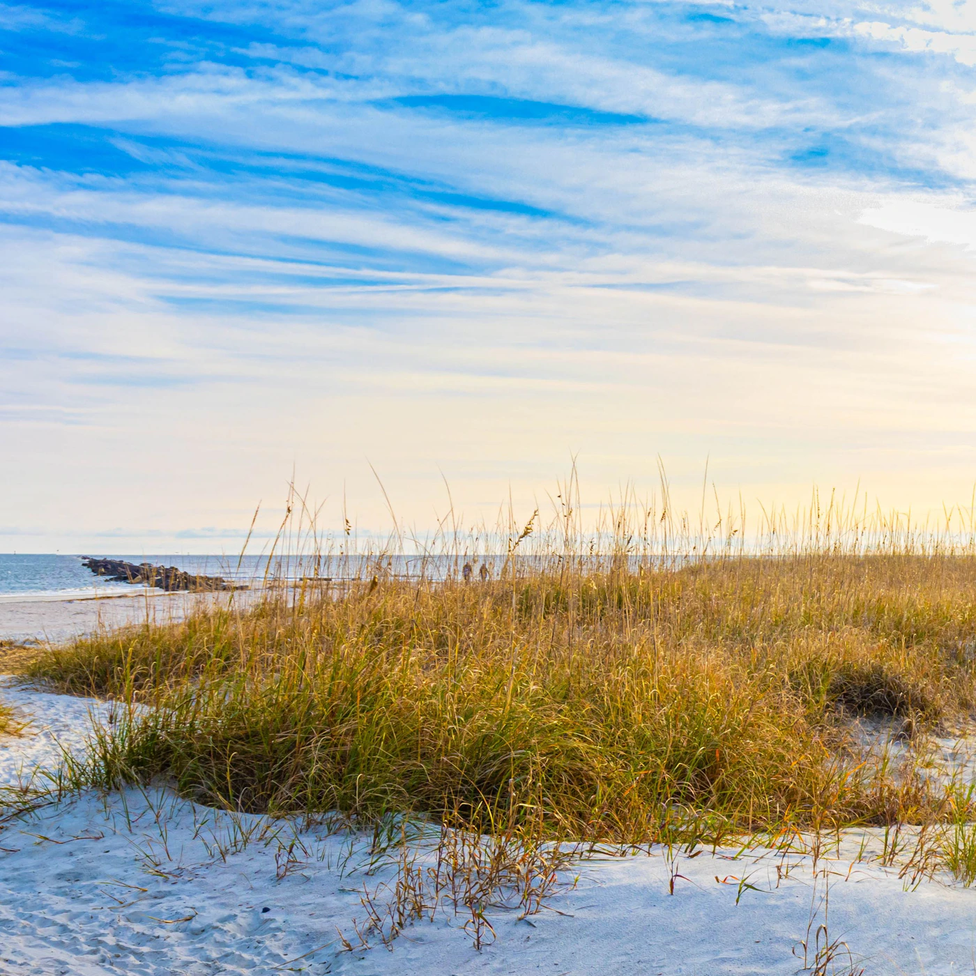 AdobeStock_740350750.jpeg
